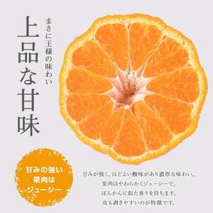 【先行予約】熟成 ながしまマンダリン王(大将季) 約5kg【ながしまマンダリングループ】mandarin-7199