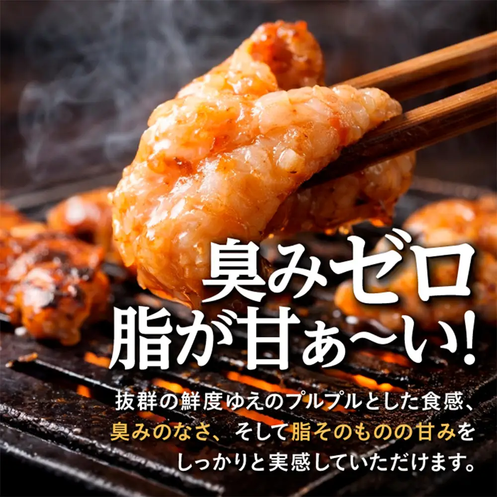 【農林水産大臣賞受賞】花咲豚 極上 埼玉ホルモン 720g ( 180g ×4種 ) 白セット 【11100-0209】 | 豚肉 焼肉 食べ比べ セット カシラ・タン・ハツ・レバー 豚ホルモン 朝締め 抜群の鮮度 旨味濃厚 秘伝のタレ 味付済 小分け 便利 焼くだけ バーベキュー キャンプ 国産 冷凍
