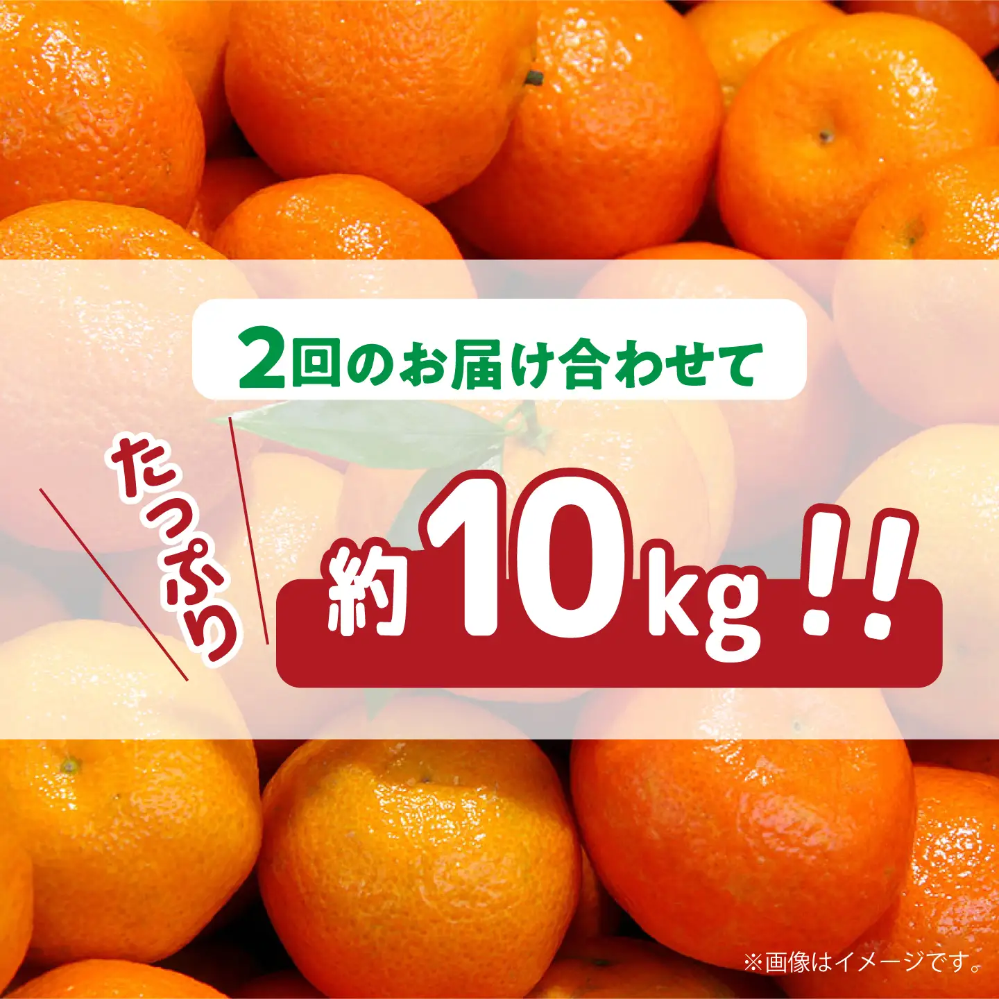 【2026年12月-発送】【大満足！ 2回 定期便 】温州みかん 約5kg / みかん 定期便 ミカン 蜜柑 長崎県産みかん 糖度 果物 くだもの 果物定期便 フルーツ ふるーつ フルーツ定期便 旬 家庭用 5kg / 南島原市 / 南島原果物屋 [SCV017]
