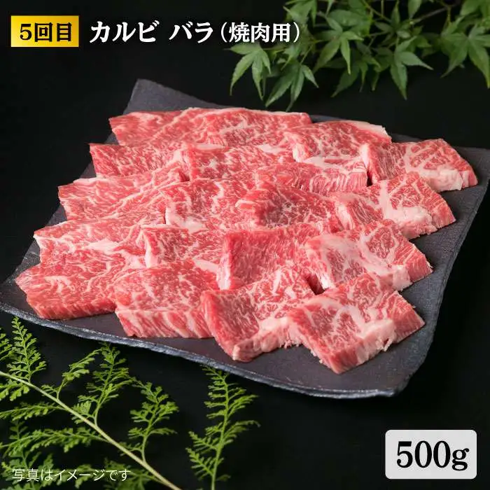 糸島 黒毛和牛（ 博多 和牛 ） 高級 部位の定期便 セット 全9回（月1回） 2人前 4,12kg 糸島市/糸島ミートデリ工房 [ACA109] 定期便 肉 食べ比べ 希少