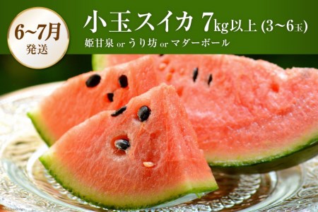 AG131【令和9年度出荷分】 全2回 厳選！夏の人気フルーツ定期便