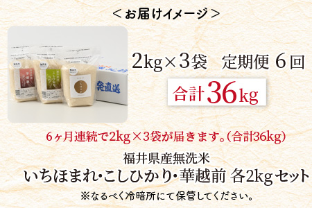 【令和8年産】 定期便 ≪6ヶ月連続お届け≫ 福井産無洗米 いちほまれ こしひかり 華越前 各2kg × 6回 計36kg 【 無洗米 人気 品種 ブランド米 特A 】 [K-6156]