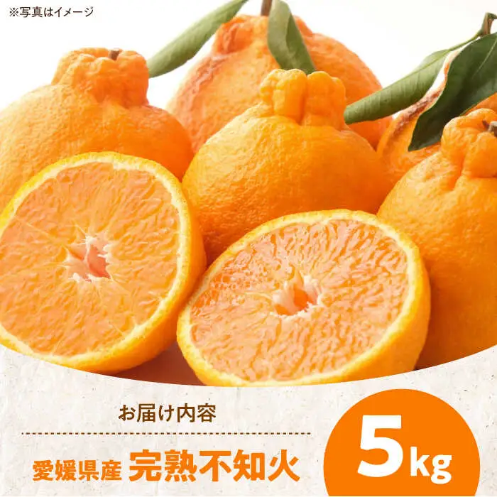 しらぬい 完熟しらぬい 5kg 【2月下旬から順次発送】[AGAW003]