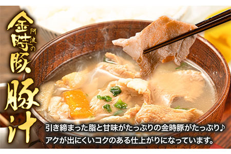 阿波の金時豚 豚汁 5個セット 