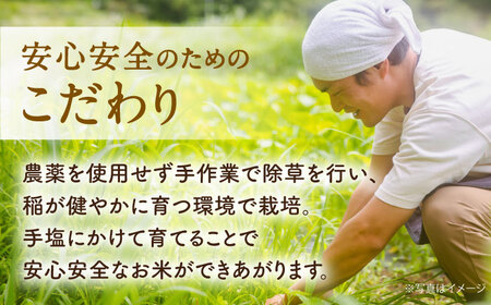 【令和7年度米】栽培期間中農薬不使用 農家のおいしいお米 10kg（5kg×2袋）【浅田峠自然塾】 [EA05]