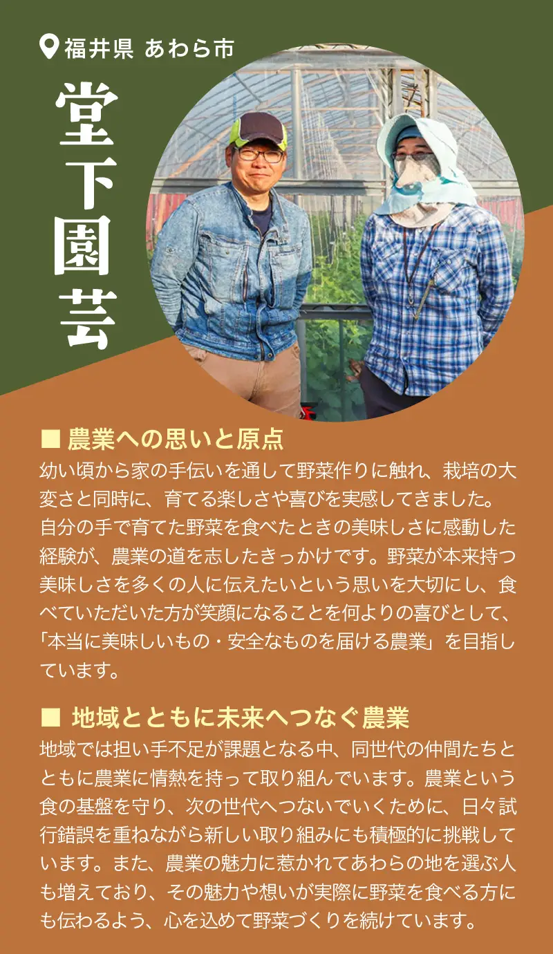 【先行予約】農家直送 秋野菜セット 1箱 7品目以上 《元気に育った新鮮野菜！》／ 福井 あわら市 季節 秋 野菜 ボックス BOX セット セレクト 農家 おまかせ 多品目 旬 詰め合わせ ※2026年10月下旬以降発送 [aw028-a010]
