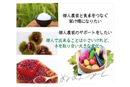 枝豆 枝付き 丹波 黒枝豆 2kg 枝豆