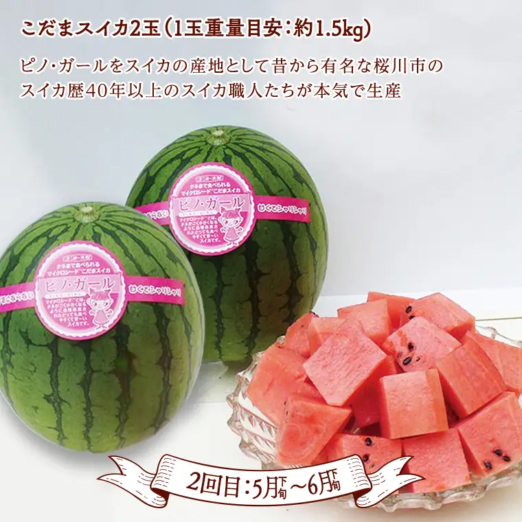 《 2027年 2月下旬開始 》全4回 定期便 贅沢 フルーツ 満喫コース  KEK 国産 トマト フルーツトマト スイカ いちご メロン くだもの 果実 春 夏 秋 冬 特選 厳選 アド街ック天国 アド街 グッドモーニング 黄金のワンスプーン 王様のブランチ [BC056sa]