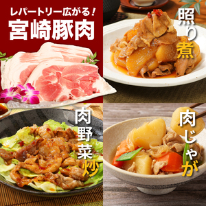 【6回定期便】宮崎県産 黒毛和牛切落し1kg(500g×2P)・訳あり豚切落し3kg(500g×6P) 交互にお届け_K16_T003_4