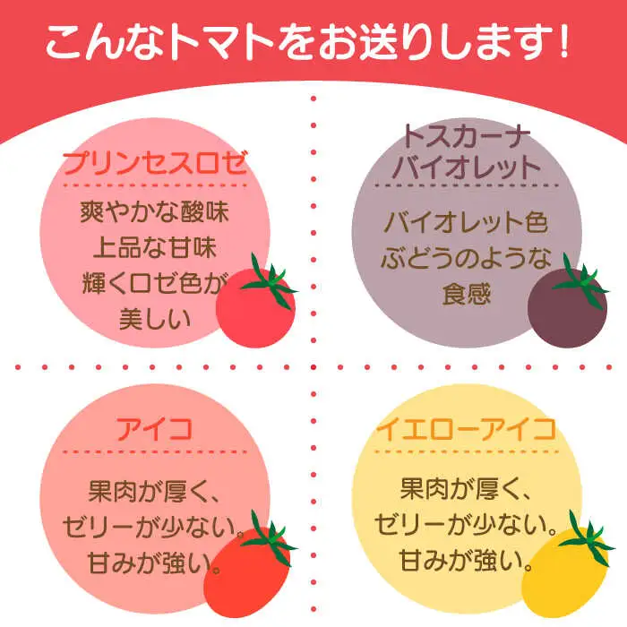 【2027年1月中旬-発送】カラフル ミニトマト 彩８（いろは） 約8種類 合計約1.8kg / トマト 夏野菜 野菜 旬 食べ比べ / 産地直送 安心 安全 彩り / 南島原市 / 植木農園 [SBL001]