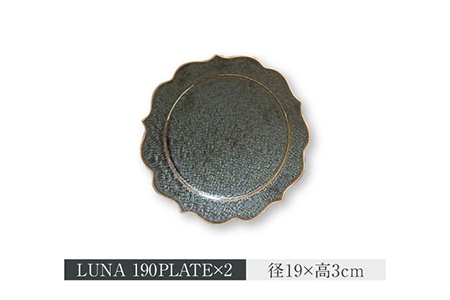 【美濃焼】LUNA プレート・ボウル 3形状 各2点 計6点セット【ヤマ吾陶器】食器 皿 鉢 パスタ皿 カレー皿 サラダボウル ワンプレート メインディッシュ ランチ ディナー 上品 高級感 おしゃれ レンジ対応 食洗機対応 送料無料 [MCE006]
