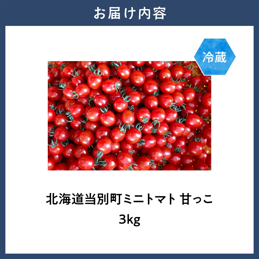 北海道当別町産化学農薬不使用ミニトマト：甘っこ3kg 北海道産 トマト 野菜 大容量 北海道 当別町