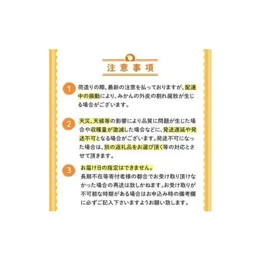 土佐文旦 訳あり 10kg 先行予約 2027年２月から順次発送 