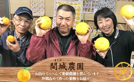 間城農園 ちょこっと食べたい方におすすめ「文旦と黄金柑のプチBOX」合計約3kg【文旦 果物 文旦 フルーツ 文旦 デザート 文旦 高評価 文旦 人気 文旦 おすすめ】 ms-0089