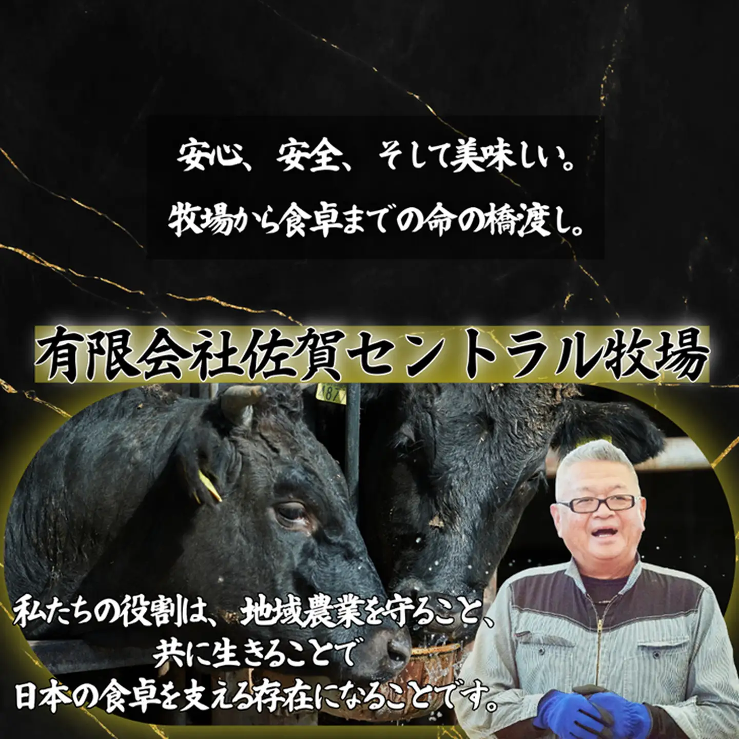 【定期便6回】佐賀牛 赤身焼肉セット 600g：C117-018