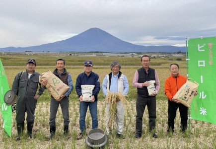 ピロール米　御殿場こしひかり　5kg ◇ ｜ 令和7年産 コシヒカリ 米 精米 白米 静岡県