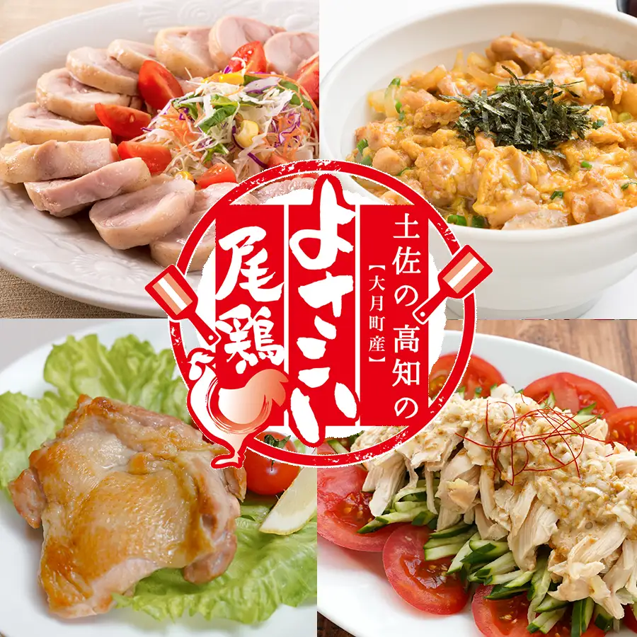 国産 鶏ささみ 1.1kg (220g×5P) 小分け 冷凍 高たんぱく 低脂質 よさこい尾鶏
