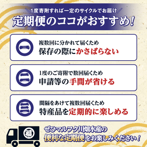 ＜定期便・全2回(隔月)＞阿久根市産 干物(6種)国産 鹿児島県産 ひもの 開き 一夜干し がらんつ 乾物 魚 キビナゴ あじ いか イカ うるめ あおさ 【マルフク川畑水産】akn029-13