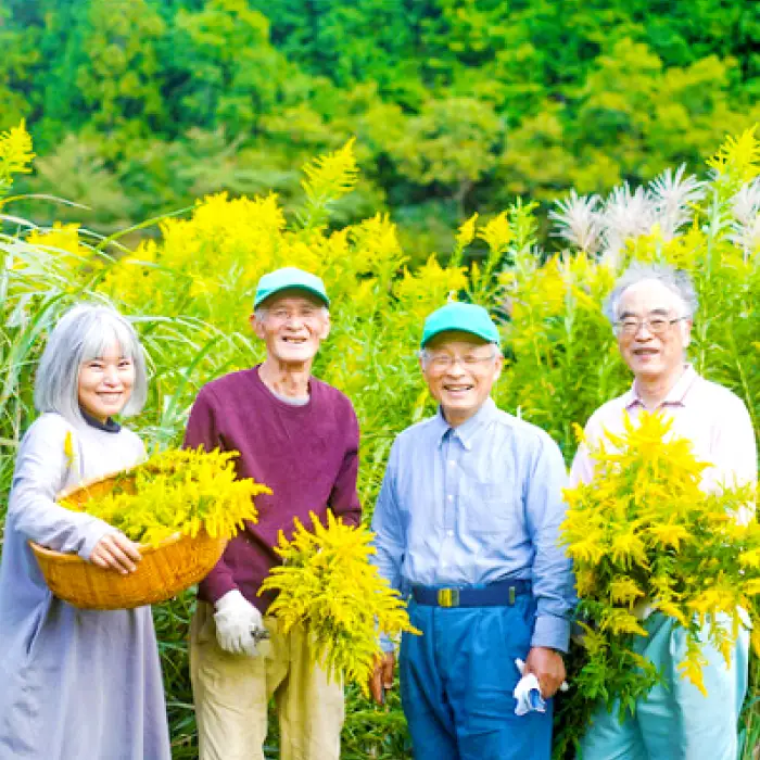 SANBE Botanicals〈セイタカアワダチソウ〉百済浦の藻塩バスソルト4個セット【バスソルト 4個 詰め合わせ セット バス用品 お風呂 ギフト プチギフト 個包装 母の日】