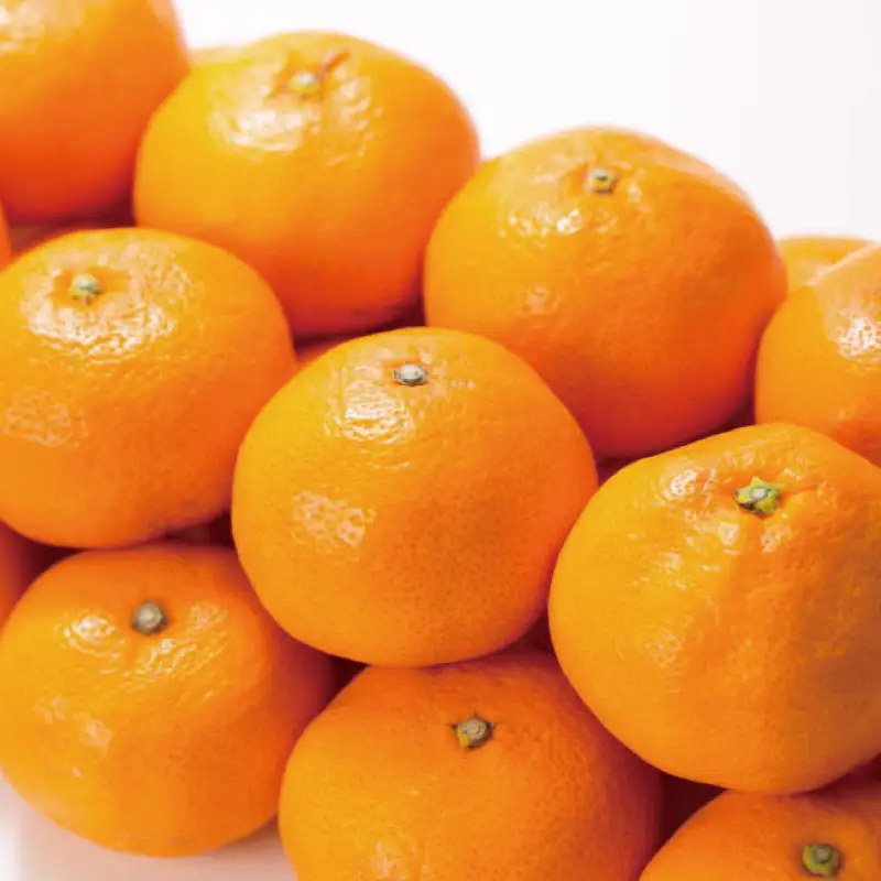 ブランド有田みかん【M】秀品10kg ／産地直送／薄皮で甘い美味しい和歌山県産／紀伊国屋文左衛門本舗　※2026年11月上旬～2027年1月中旬頃に順次発送予定（お届け日指定不可）【kstb142C】