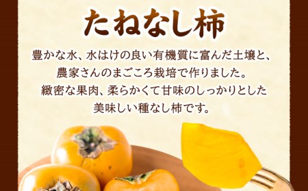 たねなし柿約7.5kg