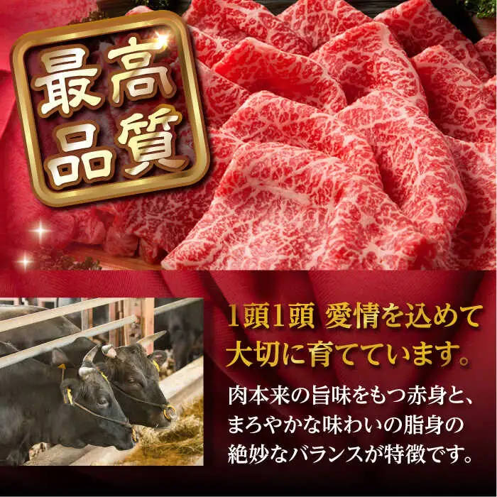 リブロース サーロイン 500g 希少部位 長崎和牛 A4?A5ランク【肉のふじた】 [AG04]すき焼き リブロース サーロイン 九州 九州産