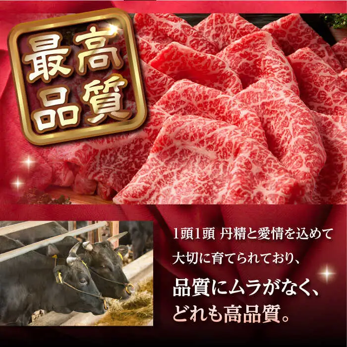 【全12回定期便】 肩ロース スライス 650g 長崎和牛 A4?A5ランク 【肉のふじた】 [AG10] ローススライス 肉 牛肉 しゃぶしゃぶ すき焼き 定期便