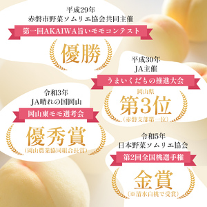桃 先行予約 清水白桃 をお届け 約1.5kg 5～7玉 糖度12度以上 もも モモ 桃