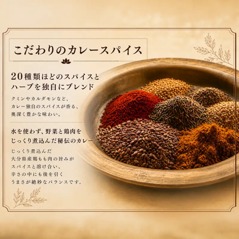 日本上陸【おうちで本格ベトナム料理】サッチャムチキンカレー（3食セット）_B020-008