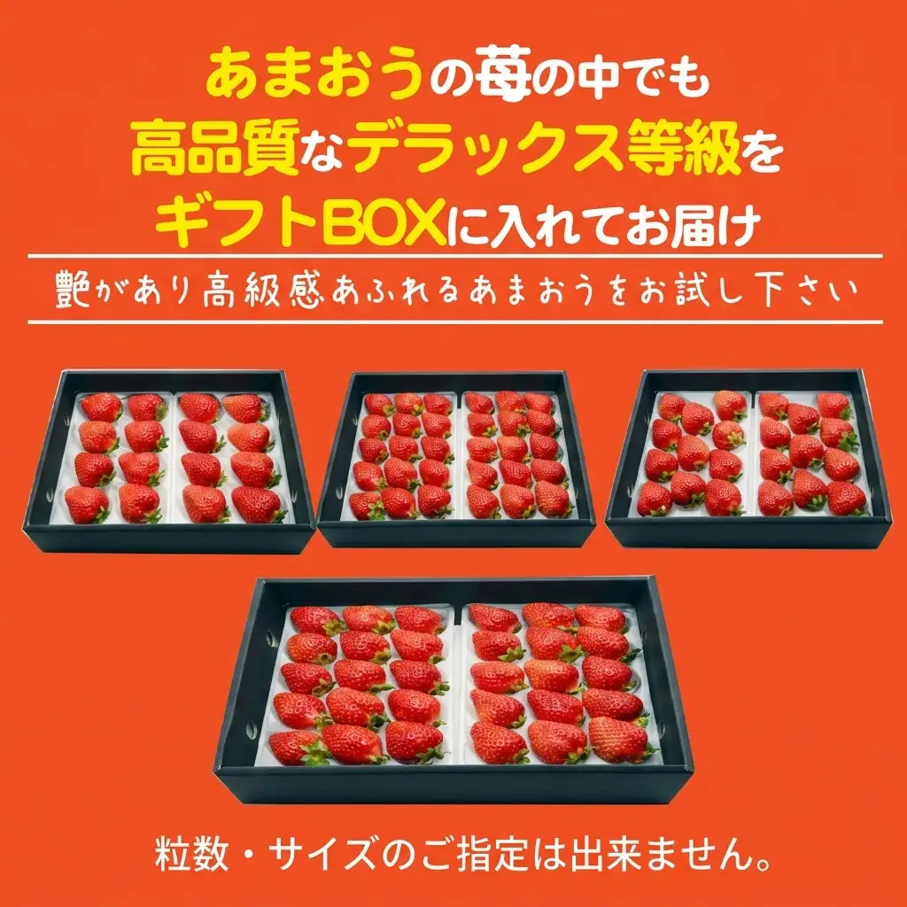 あまおう DX等級以上 約300g×2パック ※配送不可：北海道・東北・沖縄・離島 果物 苺 フルーツ デザート 旬 大粒 中玉 大玉 旬のあまおう 福岡の特産品 