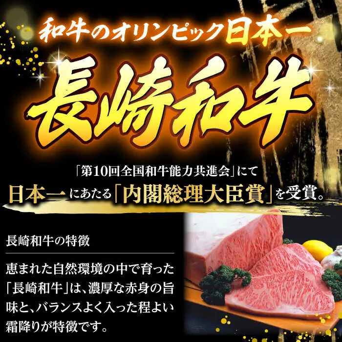 【全12回定期便】ハンバーグ 10個入 累計20,000個突破！ふわとろハンバーグ 長崎和牛 ご自宅用【ワールドミート】 [YF08] 肉 牛肉 豚肉 おかず 惣菜 定期便
