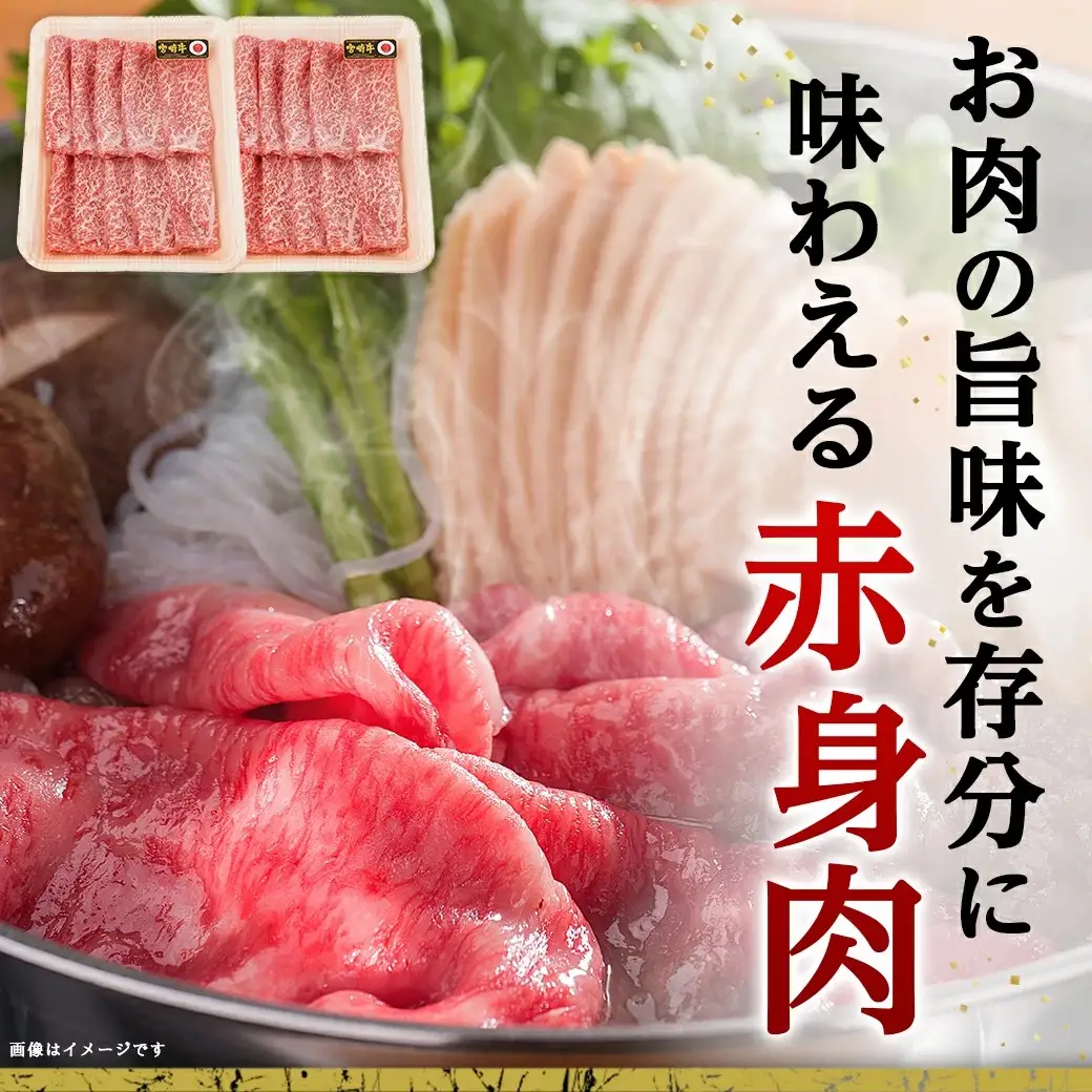 宮崎牛霜降りスライス500g×赤身牛すきスライス500gセット〔AE-I5-005〕_(都城市) 都城産宮崎牛 霜降りスライス 赤身スライス 4等級以上 牛肉 肉 ロース ミスジ モモ ウデ