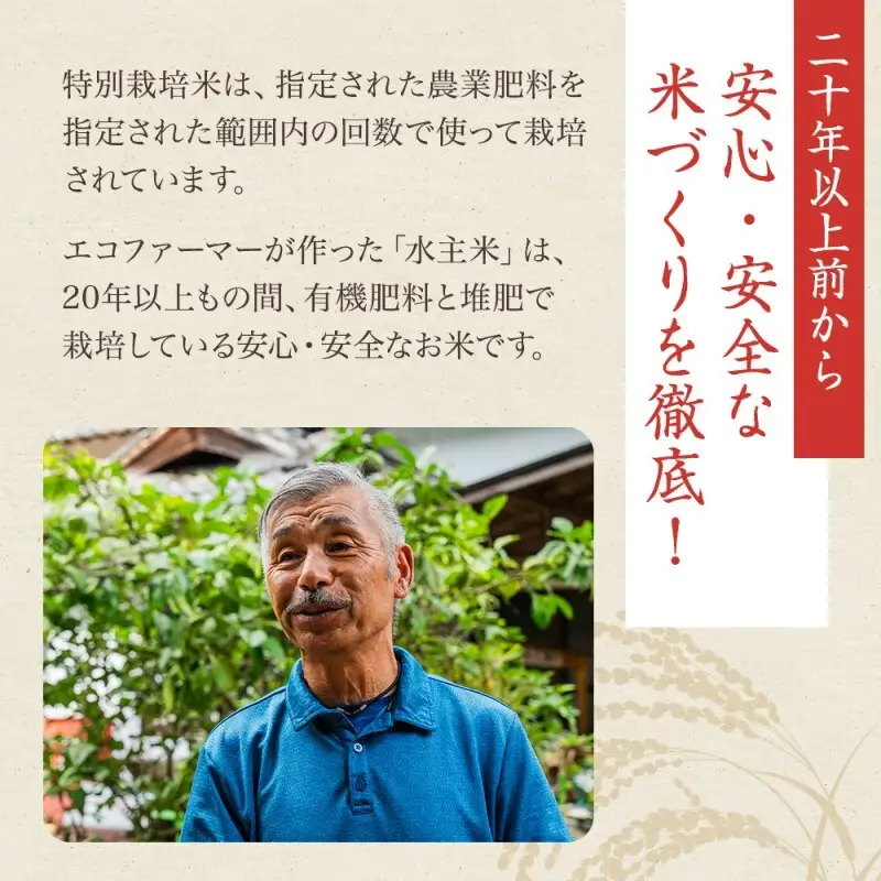 令和8年産新米エコファーマー認定農家の地域ブランド米(水主米) 玄米30kg お米 白米 ライス ご飯 ブランド米 銘柄米 お弁当 おにぎり 食卓 産地直送 主食 炭水化物 和食 国産 日本産 エコファーマー認定農家 