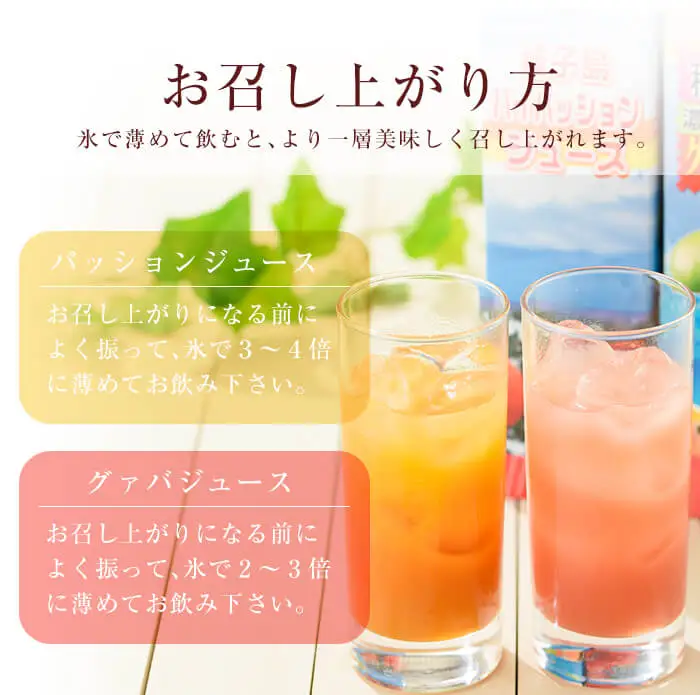 n025 パッション・グァバ ジュース セット 合計2本・各500ml 鹿児島 種子島 希釈タイプ フルーツ 【菓心利休】