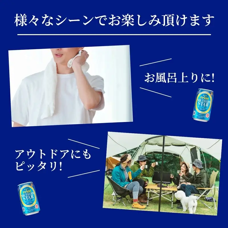 【定期便6回】 オリオンビール オリオンサザンスター 350ml×24缶 【価格改定YA】