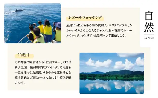 アイスクリン3種セット 1.5リットル×4 高知県 土佐市【川崎アイス】[BQCT001] [BQCT001]