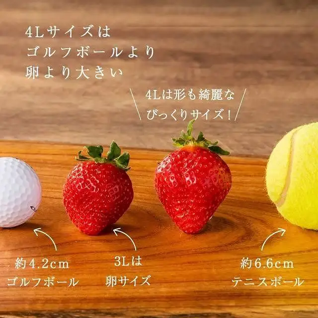 【2027年1月～4月出荷分予約販売】★希少4Lサイズ 450g ★赤のVIPボックスに入った宝石のような「完熟あまおう」！