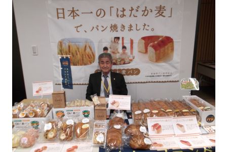 パン 無添加 老舗 6個セット ブレッド おまかせ ランダム 詰め合わせ ブランド認定 学校給食 朝食 朝ごはん 季節 おすすめ はだか麦 国産小麦 国産素材 おやつ こだわり 食物繊維豊富 安心 安全 篠崎ベーカリー 愛媛 伊予市 ｜B67