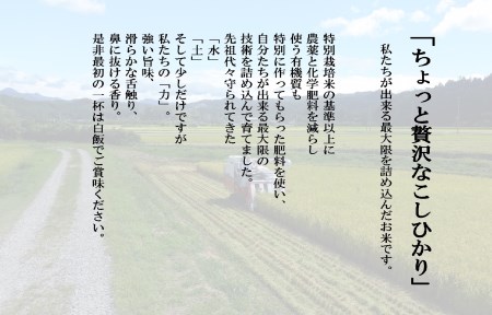 【新米受付・令和8年産米】新潟県村上市岩船産 特別栽培米・ちょっと贅沢なこしひかり4kg（2kg×2袋）＆古代米50ｇセット NA4170