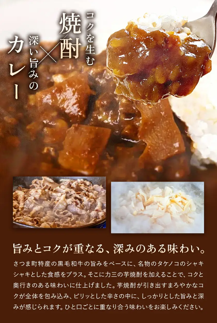 本格焼酎入カレー 力三 200g×3P 計600g 堀之内俊雄商店 《30日以内に出荷予定(土日祝除く)》鹿児島県 さつま町