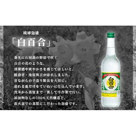 IK-9 池原酒造 白百合 600ml 30度 12本セット 
