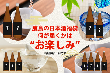 【訳あり】熟成貯蔵酒 日本酒バラエティセット｜純米大吟醸・純米吟醸など数種類からお届け 清酒 飲み比べセット 佐賀県鹿島市 D-181