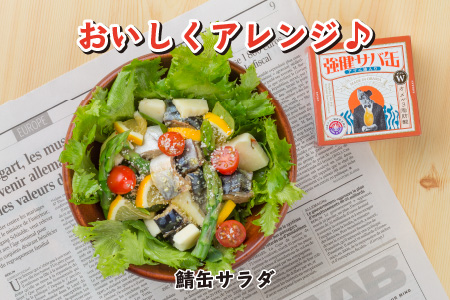 強健サバ缶アマニ油入8缶 / さば缶 さば缶 さば缶 さば缶 さば缶 さば缶 さば缶 さば缶 [BFAB040]