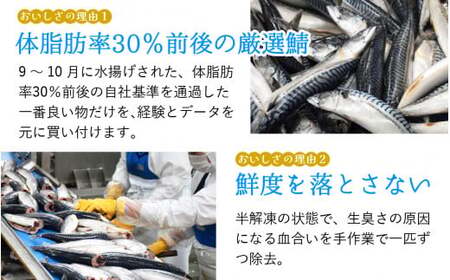 鯖味付缶詰 【本醸造醤油仕立て】 6缶 ｜ 鯖 サバ さば 鯖缶 サバ缶 さば缶 鯖缶詰 サバ缶詰 さば缶詰 保存食 常備食 非常食 備蓄 災害対策 本醸造醤油仕立て おつまみ [BFAB013]