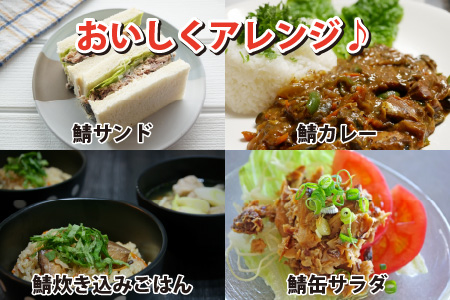 鯖味付缶詰 【柚子果汁使用】 24缶 サバ缶 おつまみ 保存食 [C-003030] [BFAB024]