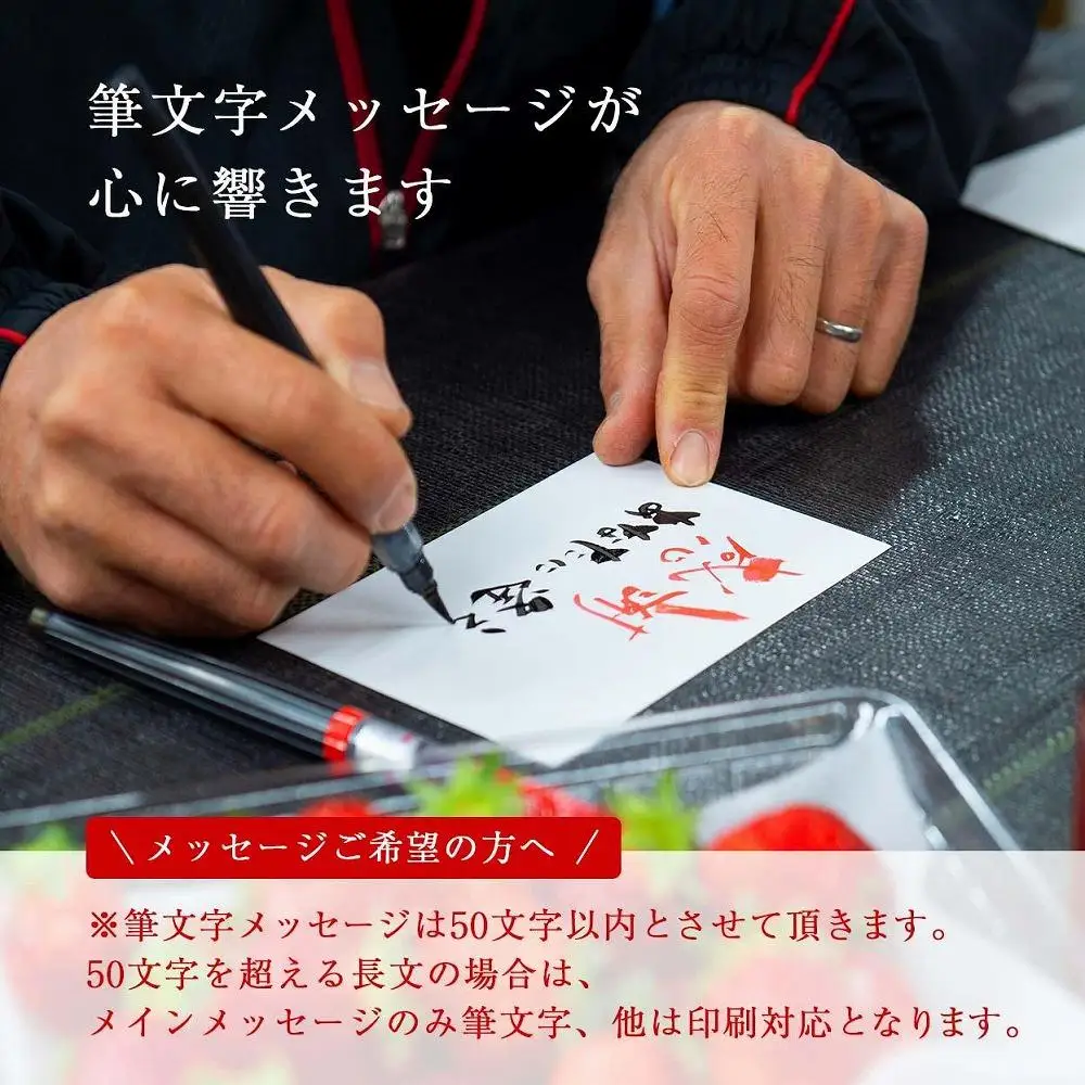 【2027年1月～4月出荷分予約販売】ボリューム満点てんこ盛り500g×2パック！完熟あまおう日替わりセット1000g