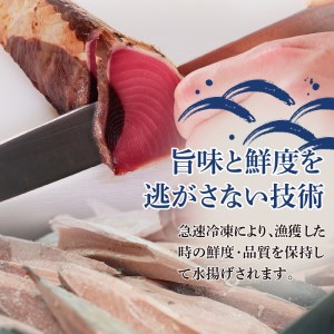 一本釣り炭火焼かつおたたき (a10-863)