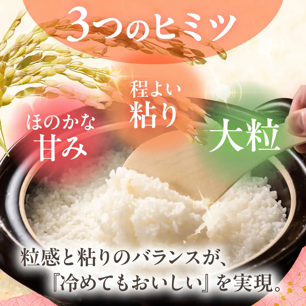 【令和6年度米】【全12回定期便】なつほのか 白米 5kg×12回 計60kg  波佐見町産【冨永米穀店】 [ZF12]
