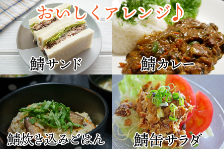 鯖水煮缶詰24缶 / さば缶 さば缶 さば缶 さば缶 さば缶 さば缶 さば缶 さば缶 [BFAB030]