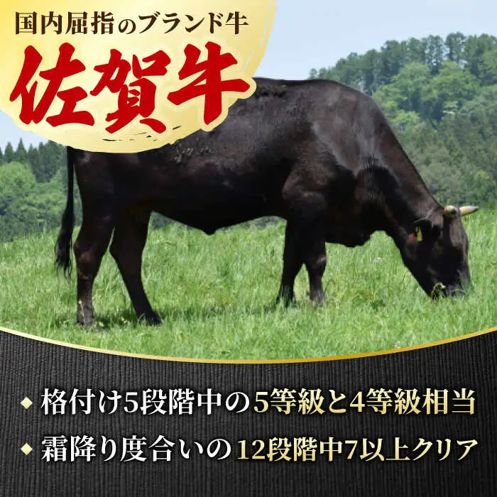 佐賀牛 ランプステーキ 2?3枚 約2人前 合計300g すてーき ステーキ 黒毛和牛 [FCY003]